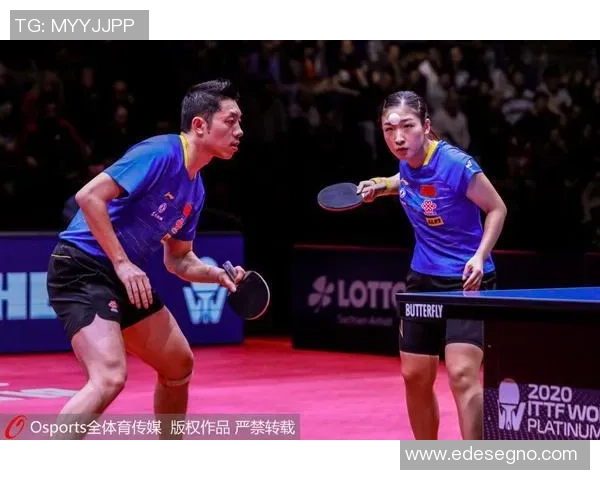 乒乓球的梦想与坚持：西安乒乓球队成长历程的真实记录与反思