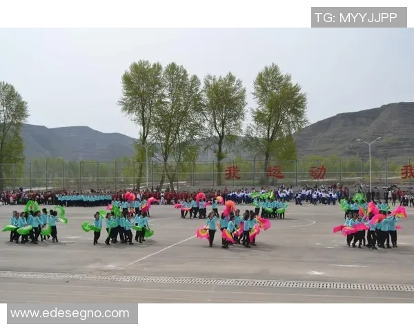 高清足球明星原画图片欣赏与解析尽在这里让你领略球场魅力与艺术之美