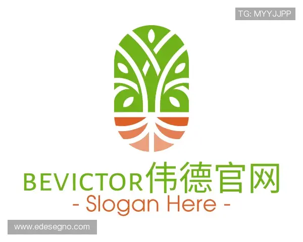 解读bv伟德国际官方网站